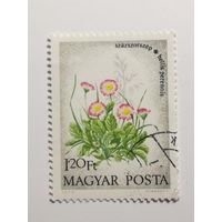 Венгрия 1973. Полевые цветы