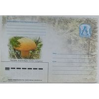 Беларусь чистый конверт 2005 г. Гриб Моховик желто-бурый