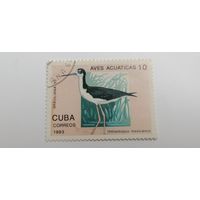 Куба 1993. Птицы - Международная выставка марок "BRASILIANA '93" - Рио-де-Жанейро, Бразилия