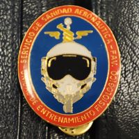 Знак служба авиационного здравохранения  аэронавтика медицина ВВС