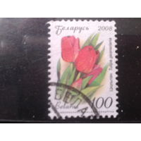 2008 Стандарт, тюльпаны