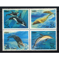 1990 СССР. Морские млекопитающие