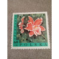 Польша 1968. Цветы. Odontonia