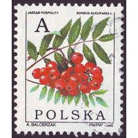 Лиственные лесные плоды Польша 1995 год 1 марка