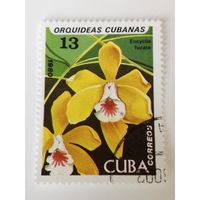 Куба 1980. Орхидеи.