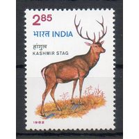Дикая природа Индия 1982 год серия из 1 марки