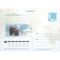 Почтовая карточка " Беловежский зубр"