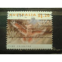 Австралия 1993 Попугай кокаду Михель-1,5 евро гаш концевая