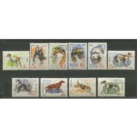 Собаки. 1965. Полная серия 10 марок. Чистые