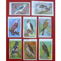 Вьетнам. Хищные птицы. ( 8 марок ) 1982 года. 2-19.