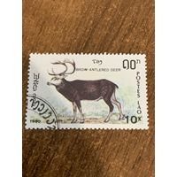 Лаос 1990. Brow-antlered deer. Марка из серии