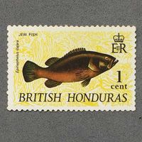 Британский Гондурас Рыбы