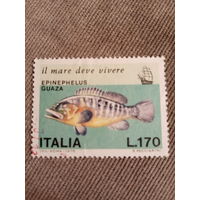 Италия 1979. Рыбы. Epinephelus Guaza