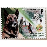 Беларусь Служебные собаки 2022