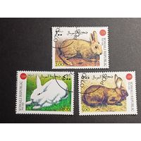 Сомали 1999. Кролики