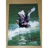 Календарик 1991 Лебедь