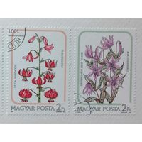 Венгрия 1985 / флора / цветы //2 марки из серии