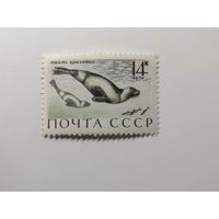 1971 СССР. Морские млекопитающие
