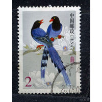 Птицы. Лазоревые сороки. Китай. 2002