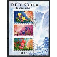 Цветы КНДР 1981 год серия из 3-х марок в блоке