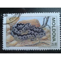 Молдова 1993 Змея 25,0 р концевая Михель-2,5 евро гаш