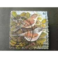 Мальта 2001 птицы