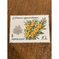 СССР 1980. Облепиха крушиновидная. Марка из серии