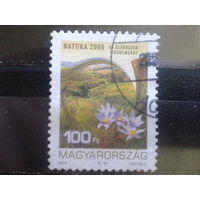 Венгрия 2004 Природа, цветы Михель-1,4 евро гаш