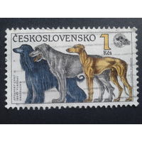Чехословакия 1990 собаки