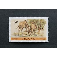 Танзания /1980/ Фауна / жираф