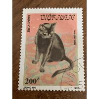 Вьетнам 1990. Породы кошек. Meo Fru-fru. Марка из серии