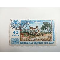 Монголия 1983. Туризм