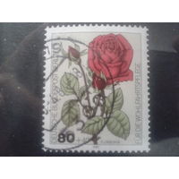 Берлин 1982 красная роза Михель-2,0 евро гаш.