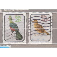 Птицы  Фауна  ЮАР 1990 год лот 1007    можно раздельно