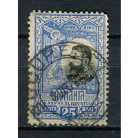 Королевство Румыния - 1906 - Румынский монарх Кароль I 25B - [Mi.182] - 1 марка. Гашеная.  (Лот 68X)