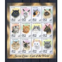 Кошки на марках Сьерра-Леоне