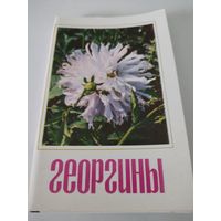 Набор из 30 открыток "Георгины" 1974г.