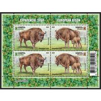 2024г Беларусь MNH Малый лист "Европейский зубр"