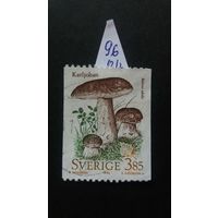 Швеция 1996 грибы