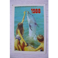 Календарик, 1988, Дети и дельфин (изд. Киев).