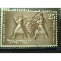 Израиль 1954 Еврейский фестиваль, виноград