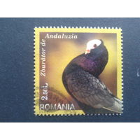 Румыния 2005 голубь  марка из блока