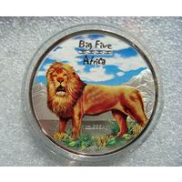 240 франков 2008 Конго Лев Большая пятерка Африки Цветная Серебро 999