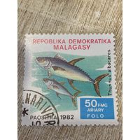 Мадагаскар 1982. Рыбы. Thunnus albacares. Марка из серии
