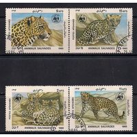 Марки Афганистан 1985. Леопарды. Полная серия из 4 марок.