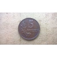 Польша 5 грошей, 1949г. (U-)