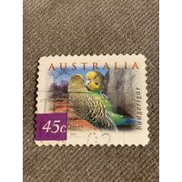 Австралия 2001. Фауна. Попугаи