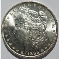 1 доллар 1885 UNC