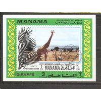 Я Манама Жираф