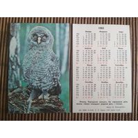 Карманный календарик.1985 год. Сова